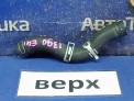 Патрубок радиатора верхний Honda Civic EU1 D15B 2000