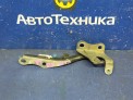 Петля капота передняя правая Toyota Corolla Fielder NZE141G 1NZ-FE 2008