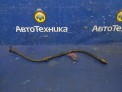 Шланг тормозной передний правый Nissan Cefiro PA33 VQ25DD 2000
