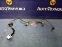 Проводка фар задняя правая Nissan Note E11 HR15DE 2012