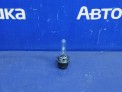 Лампа ксеноновая  Subaru Outback BR9 EJ253 2009