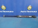 Амортизатор двери багажника задний Nissan X-trail NT30 QR20DE 2004