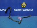 Шланг тормозной передний правый Nissan Primera TNP12 QR20DE 2005