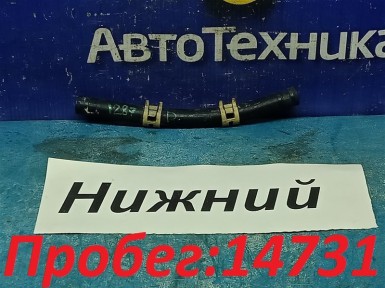 Трубка охлаждения АКПП нижняя Honda Civic  FD1 R18A 2007 