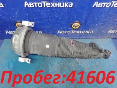 Стойка подвески задняя левая PorsСhe Cayenne  955 M48.50 2004 