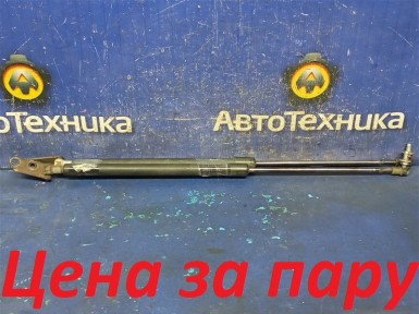 Амортизатор двери багажника задний Nissan  X-trail NT30 QR20DE 2004 