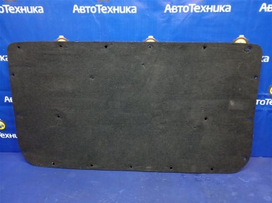 Обшивка двери багажника задняя Nissan Nv200  VM20 HR16 2014 