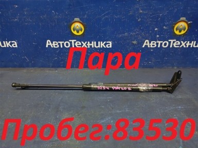 Амортизатор двери багажника задний Nissan X-trail PNT30 SR20VET 2005