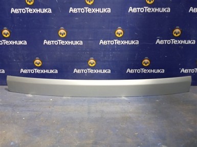 Накладка на дверь багажника задняя нижняя  BMW X3 E83 N52B25A 2007 