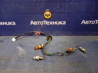 Проводка фар задняя левая Nissan Bluebird  Sylphy FG10 QG15DE 2005 