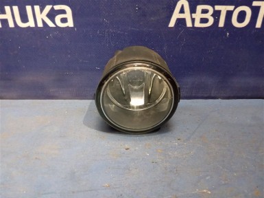 Фара противотуманная передняя левая Nissan  Murano PNZ51 VQ35DE 2009 