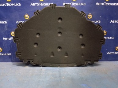 Обшивка капота BMW X5 E70 N52B30 2009 