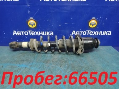 Стойка подвески задняя правая Toyota Corolla Fielder NZE141G 1NZ-FE 2010