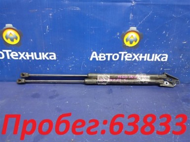 Амортизатор двери багажника задний Nissan  Murano PNZ51 VQ35DE 2009 