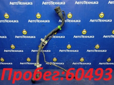 Горловина топливного бака Toyota Corolla  Spacio NZE121N 1NZ-FE 2002 