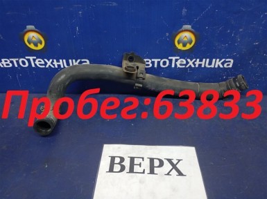 Патрубок радиатора верхний Nissan Murano  PNZ51 VQ35DE 2009 