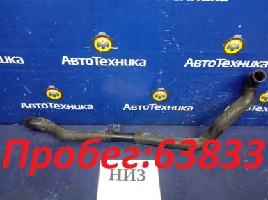 Патрубок радиатора нижний Nissan Murano PNZ51  VQ35DE 2009 