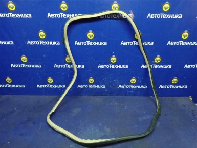 Уплотнитель двери задний правый Toyota Corolla  Spacio NZE121N 1NZ-FE 2002 