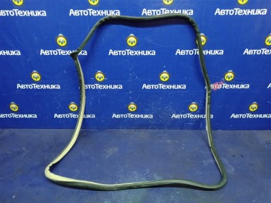 Уплотнитель двери передний правый Toyota  Corolla Spacio NZE121N 1NZ-FE 2002 