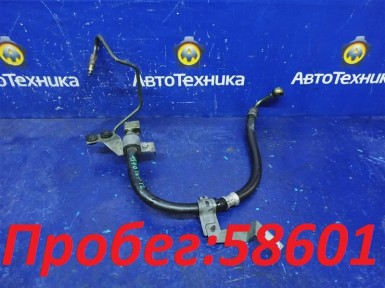 Шланг гидроусилителя Nissan Primera TNP12  QR20DE 2005 