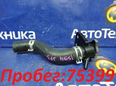 Горловина радиатора Honda N-box JF3 S07B  2019 