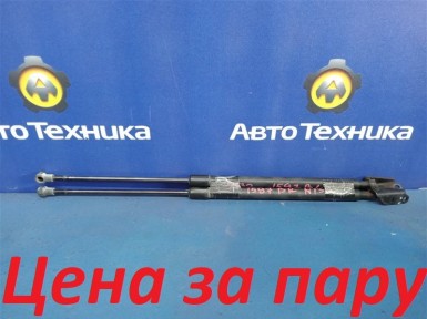 Амортизатор двери багажника задний Nissan X-trail NT30 QR20DE 2004