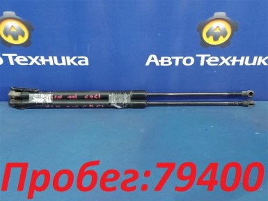 Амортизатор двери багажника задний Nissan  X-trail NT30 QR20DE 2006 