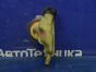 Бачок гидроусилителя Mazda Axela BK5P ZY-VE 2005