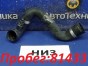 Патрубок радиатора нижний BMW X3 E83 M54B25(256S5) 2005