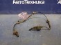 Датчик ABS передний правый Honda N-wgn JH2  S07A 2015 