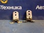 Петля двери  Nissan Bluebird Sylphy FG10 QG15DE