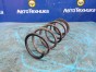Пружина подвески задняя Dayz Roox B21A 3B20