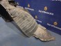 Подкрылок передний правый Tiida C11 HR15DE
