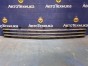 Решетка радиатора передняя нижняя Mercedes-benz C-class W204041/W204 M271KE18ML/271.950 2007