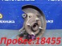 Ступица передняя левая Toyota Ist NCP61 1NZ-FE  2005 