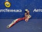 Петля капота левая Toyota Corolla Fielder  NZE141G 1NZ-FE 2010 