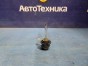 Лампа ксеноновая лампа газоразрядная Nissan Murano PNZ51 VQ35DE