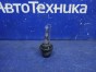 Лампа ксеноновая лампа газоразрядная Toyota Wish ZNE14G 1ZZ-FE