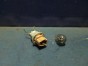Цоколь лампы задний Toyota Vitz SCP10 1SZ-FE  2004 