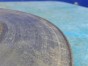 Тормозной диск передний Odyssey RA6 F23A