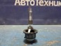 Лампа ксеноновая Honda Fit GD1 L13A 2007 
