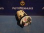 Корпус бензонасоса  N-wgn JH1 S07A