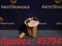 Корпус бензонасоса Nissan Sunny FB15 QG15DE 2004