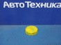 Крышка бачка тормозной жидкости Nissan X-trail  NT30 QR20DE 2007 