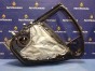 Дверь боковая дверь Mitsubishi Lancer X/galant Fortis CY4A 4B11